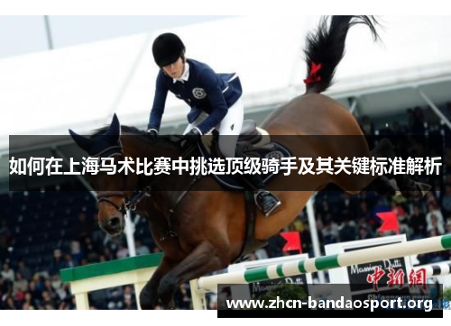 如何在上海马术比赛中挑选顶级骑手及其关键标准解析