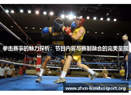 拳击赛事的魅力探析：节目内容与赛制融合的完美呈现