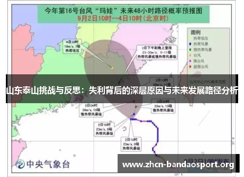 山东泰山挑战与反思：失利背后的深层原因与未来发展路径分析
