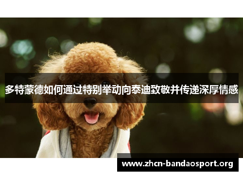 多特蒙德如何通过特别举动向泰迪致敬并传递深厚情感