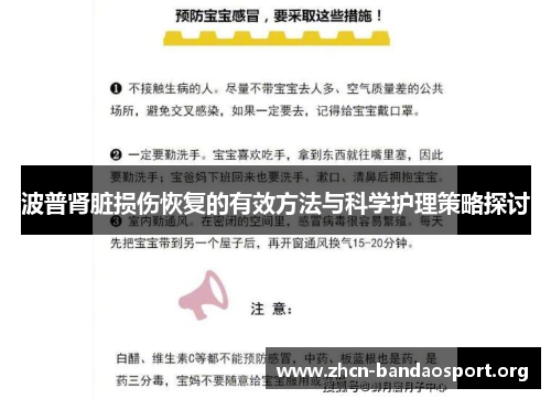 波普肾脏损伤恢复的有效方法与科学护理策略探讨