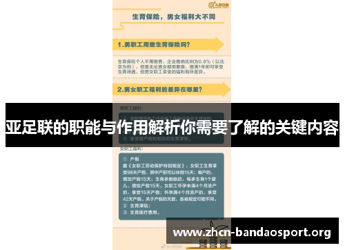 亚足联的职能与作用解析你需要了解的关键内容
