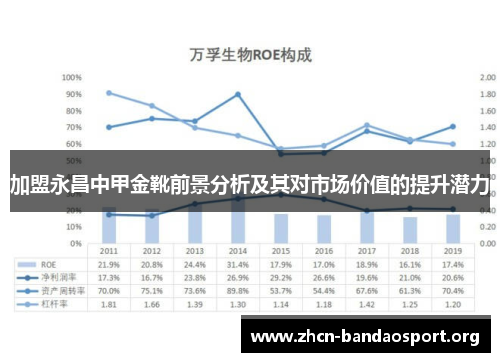 加盟永昌中甲金靴前景分析及其对市场价值的提升潜力