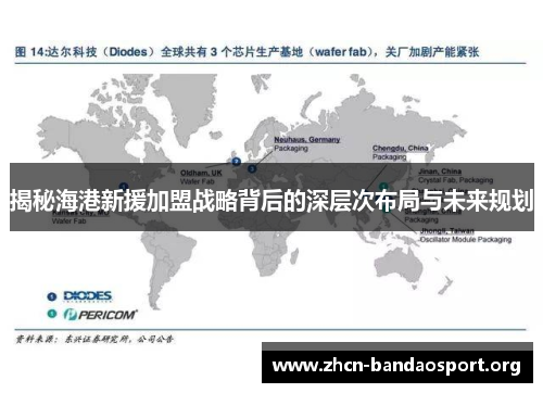 揭秘海港新援加盟战略背后的深层次布局与未来规划