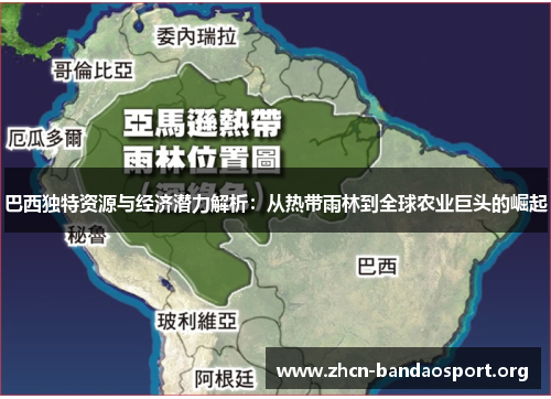 巴西独特资源与经济潜力解析：从热带雨林到全球农业巨头的崛起