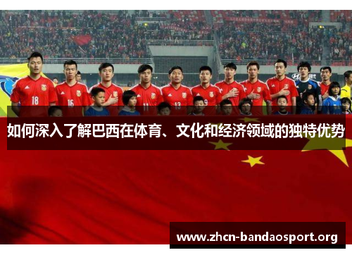 如何深入了解巴西在体育、文化和经济领域的独特优势