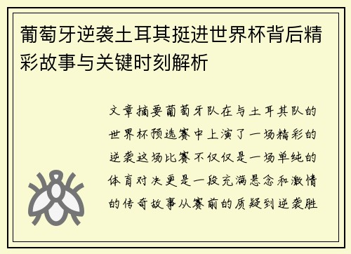 葡萄牙逆袭土耳其挺进世界杯背后精彩故事与关键时刻解析
