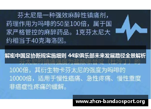解密中国足协新规实施细则 44家俱乐部未来发展路径全景解析