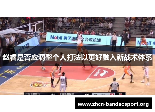 赵睿是否应调整个人打法以更好融入新战术体系